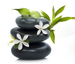 Tea House Spa Sauna - Hotel Gold Coast 0