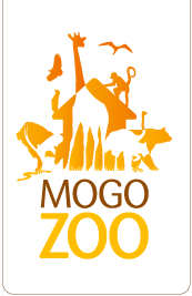Mogo NSW Hotel Gold Coast