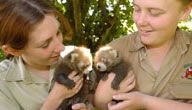 Mogo Zoo - Hotel Gold Coast 3