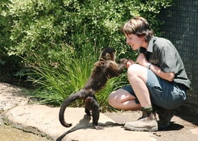 National Zoo & Aquarium - Hotel Gold Coast 1