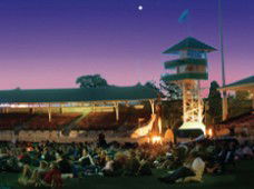 Starlight Cinema - Hotel Gold Coast 1