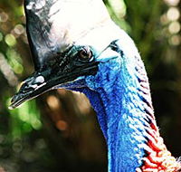 Alma Park Zoo - Hotel Gold Coast