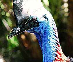 Alma Park Zoo - Hotel Gold Coast 0