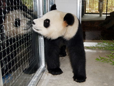 Adelaide Zoo - Hotel Gold Coast 3