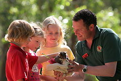 Cleland Wildlife Park - Hotel Gold Coast 0