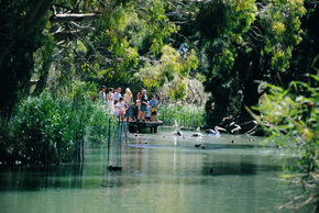 Cleland Wildlife Park - Hotel Gold Coast 1