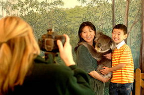 Cleland Wildlife Park - Hotel Gold Coast 2