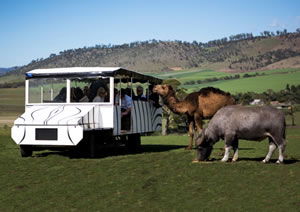 Zoo Doo Wildlife Park - Hotel Gold Coast 2