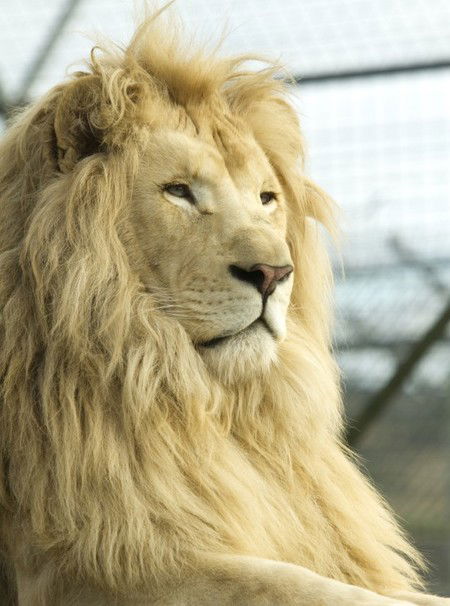 Zoo Doo Wildlife Park - Hotel Gold Coast 3