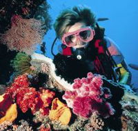 Gold Coast Seaway Dive Site - Hotel Gold Coast
