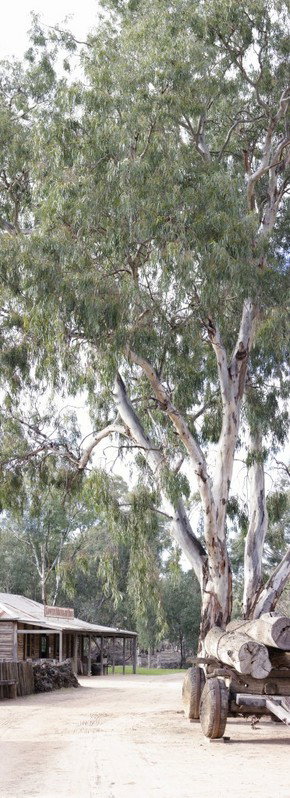 Pioneer Settlement - Hotel Gold Coast 1