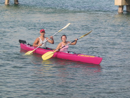 Swan Boat Hire - Hotel Gold Coast 2
