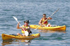 Manly Kayaks - Hotel Gold Coast 0