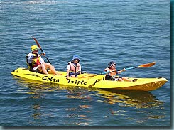 Manly Kayaks - Hotel Gold Coast 3