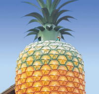 The Big Pineapple - Hotel Gold Coast
