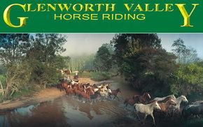 Glenworth Valley Horseriding - Hotel Gold Coast 0