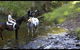 Glenworth Valley Horseriding - thumb 1