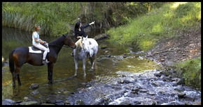 Glenworth Valley Horseriding - Hotel Gold Coast 1