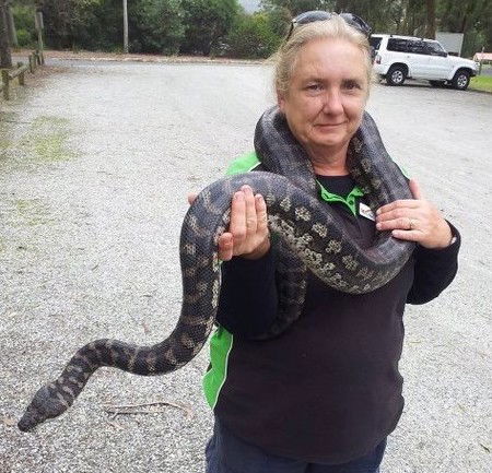 Gumbuya Park - Hotel Gold Coast 2