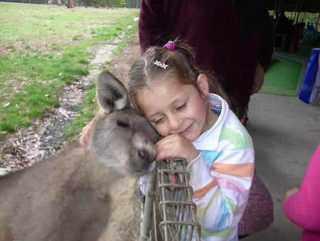 Gumbuya Park - Hotel Gold Coast 3