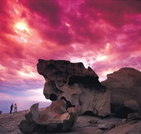 Kangaroo Island Adventure Tour 2 day/1 night - Hotel Gold Coast