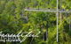 Rainforest Skywalk - thumb 2