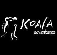 Koala Adventures - Hotel Gold Coast