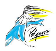 Polperro Dolphin Swims - Hotel Gold Coast 0