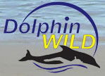 Dolphin Wild - Hotel Gold Coast 0