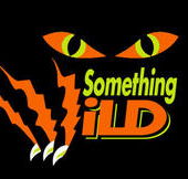 Something Wild - Hotel Gold Coast