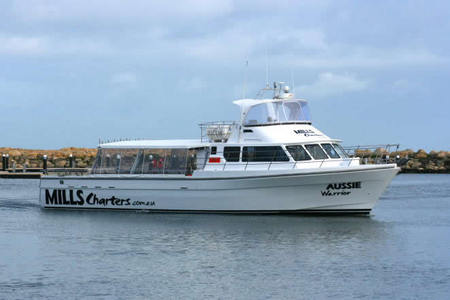 Mills Charters Fishing And Whale Watch Cruises - Hotel Gold Coast 1