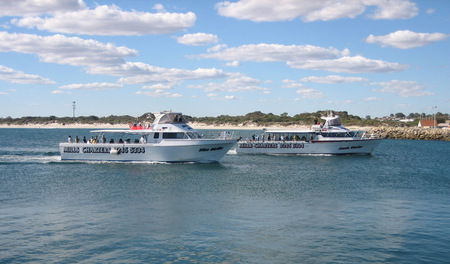 Mills Charters Fishing And Whale Watch Cruises - Hotel Gold Coast 2