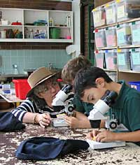 Australian National Botanic Gardens - Hotel Gold Coast 2