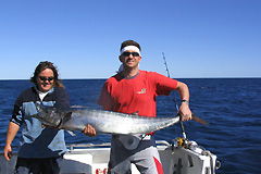 Ningaloo Blue Dive - Hotel Gold Coast 3