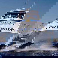 Sunshine Coast Fishing Charters - Hotel Gold Coast 0