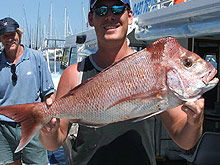 Sunshine Coast Fishing Charters - Hotel Gold Coast 2