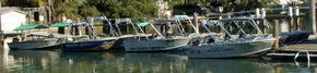 Brooklyn Central Boat Hire & General Store - Hotel Gold Coast 1