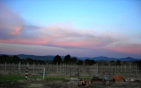 Buller View Wines - Hotel Gold Coast 1