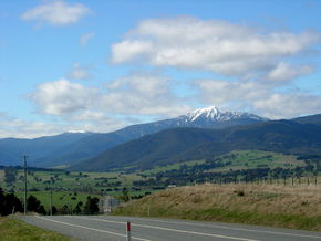 Buller View Wines - Hotel Gold Coast 2