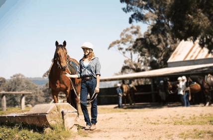 Watsons Trail Rides - Hotel Gold Coast