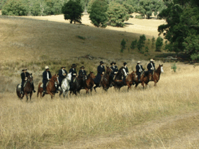 McCormacks Mountain Valley Trail Rides - Hotel Gold Coast