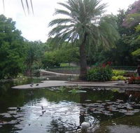 Brisbane City Botanic Gardens - Hotel Gold Coast