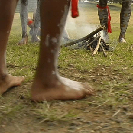 Musgrave Park Cultural Centre - Hotel Gold Coast 1