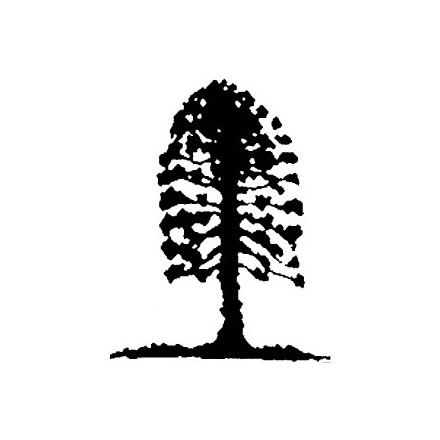 Musgrave Park Cultural Centre - Hotel Gold Coast 2