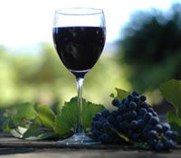 Lion Mill Vineyards - Hotel Gold Coast 0