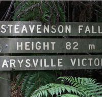 Stevensons Falls - Hotel Gold Coast
