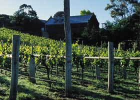 Goona Warra Vineyard - Hotel Gold Coast 1