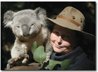 Koala Park Sanctuary - Hotel Gold Coast 2