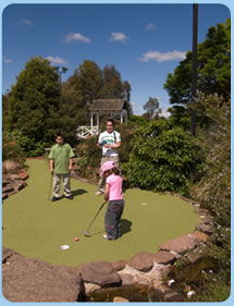 Wetlands Mini Golf - Hotel Gold Coast 0