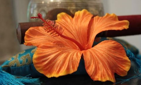 Annasha Day Spa Retreat - Hotel Gold Coast 5